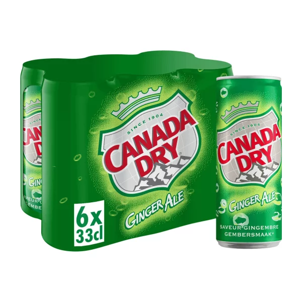 Canada Dry canette - 6x33cl